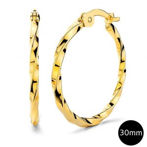 Twisted Hoop Earrings 30mm