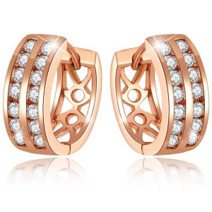 Dual Channel Earrings